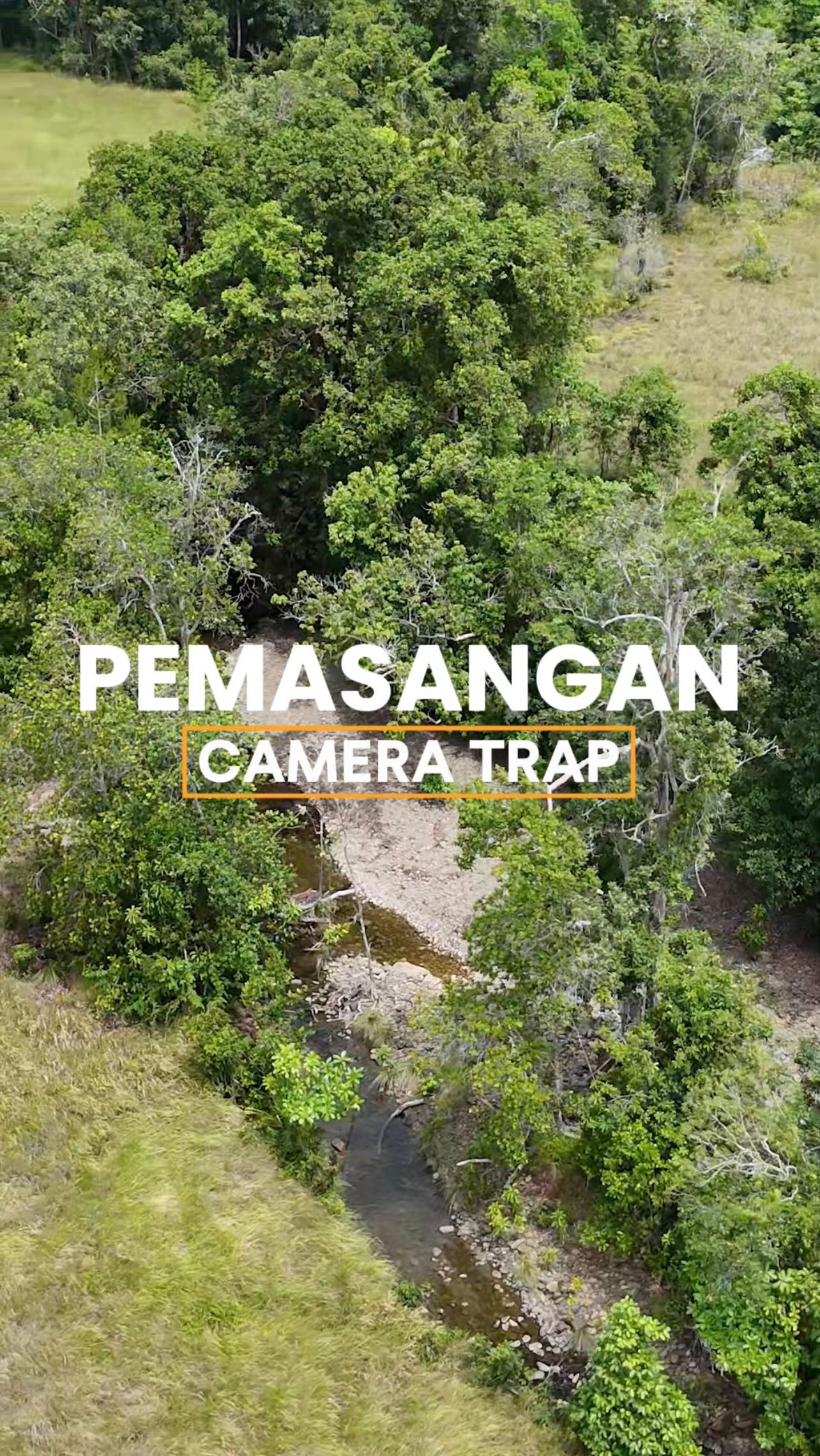 Pemasangan Kamera Trap di Taman Nasional Rawa Aopa Watumohai
